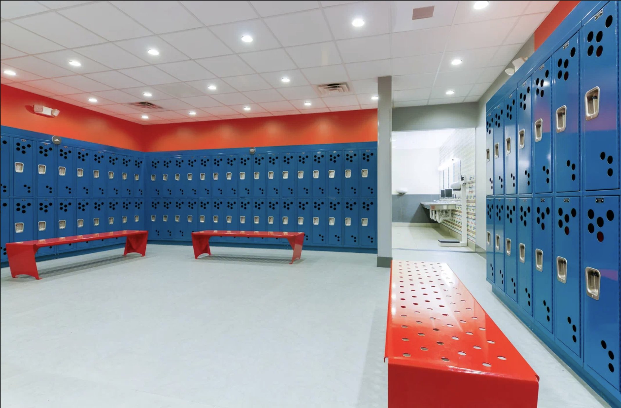 Locker room in blue and orange with perforated benches