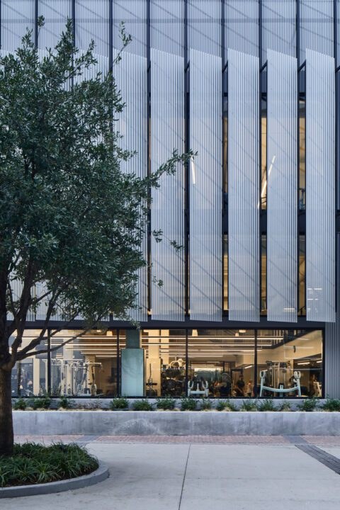 Equinox Plano glass facade with vertical fins and a courtyard tree